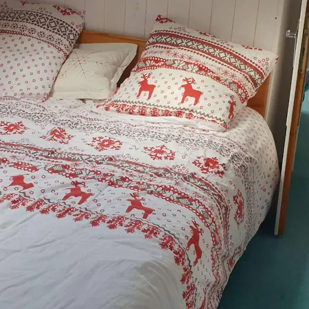 Duplex 6/7 Personnes, Centre Ville, Proche Telecabine - Fr-1-234-278 Lejlighed Cauterets